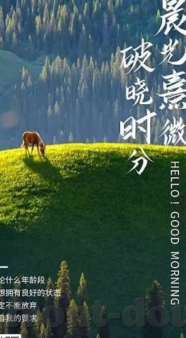 麻豆传媒a-不仅可能违反法律法规，而且对个人和社会都会产生不良影响。此外，这些平台可能还涉及欺诈广告、个人隐私泄露等问题，会给用户带来实质性的危害和损失